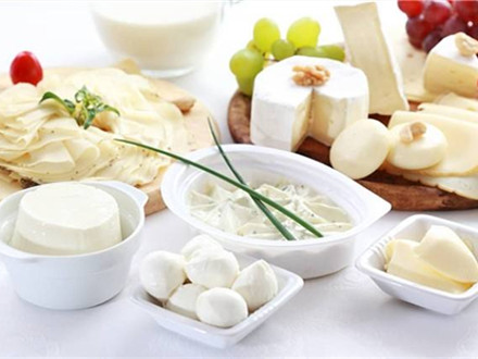 T/HBFIA 0003-2019 乳制品行業(yè)全面質(zhì)量管理5.0卓越運(yùn)營(yíng)指南
